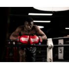 Kép 6/10 - Gorilla Wear Ashton Pro Boxing Gloves (piros/fekete)