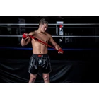 Kép 5/6 - Gorilla Wear Murdo Muay Thai/Kickboxing Shorts (fekete/szürke)