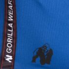 Gorilla Wear Reydon Mesh Shorts (kék)