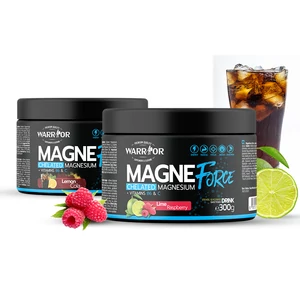 Warrior MagneForce Drink - Magnézium kelát + B6 (300g)